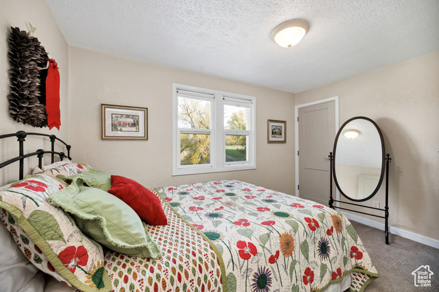 Photo 13 for MLS #2119631 at 85 W 8800 South