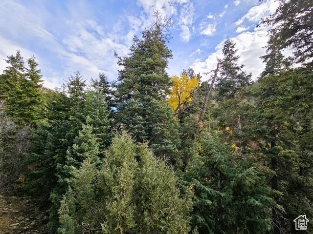 Photo 47 for MLS #2119659 at 38 Twin Creek Dr #38