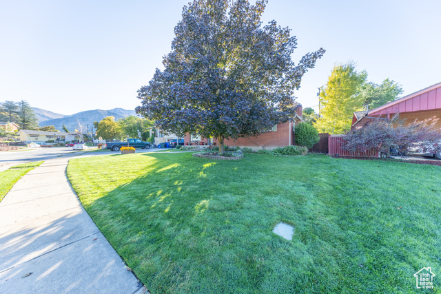 Photo 3 for MLS #2119688 at 695 E 33rd St