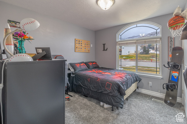 Photo 30 for MLS #2119689 at 2788 Peach St