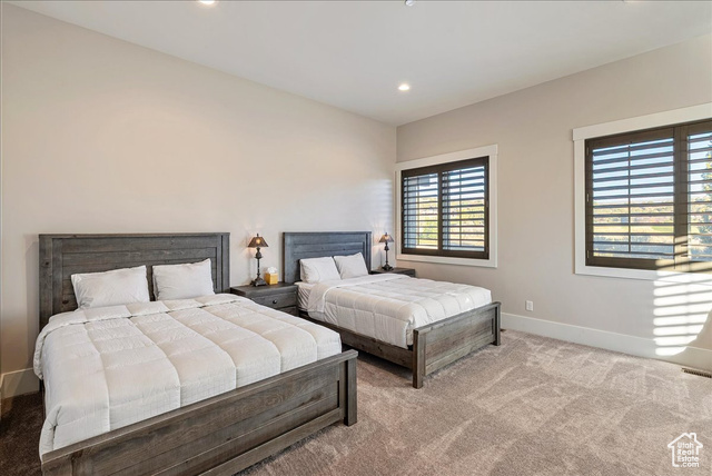 Photo 56 for MLS #2119690 at 523 N Red Mountain Ct