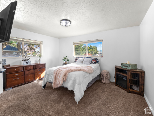 Photo 17 - 1410 W 1200 North, Mapleton UT 84664