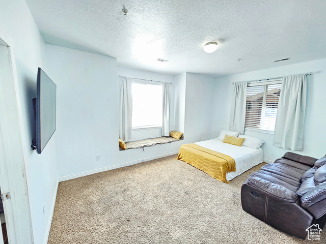 Photo 12 for MLS #2119737 at 7093 S Greensand Dr