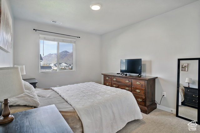 Photo 19 - 1446 W 1250 South, Springville UT 84663