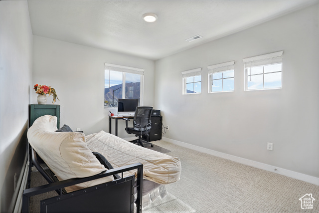 Photo 18 - 1446 W 1250 South, Springville UT 84663