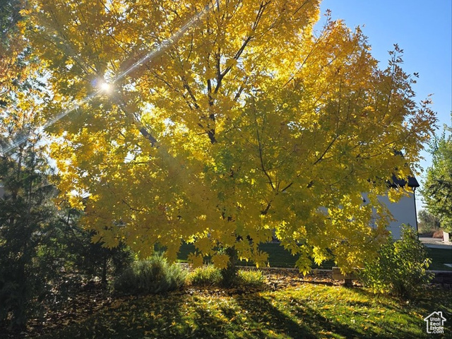 Photo 65 - 2307 N 2850 West, Plain City UT 84404