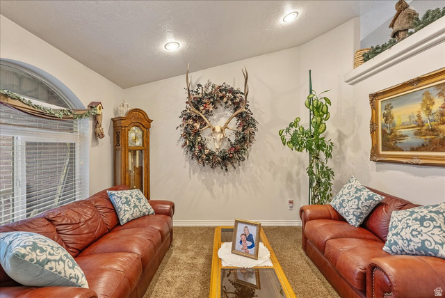 Photo 43 - 1931 E 1400 South, Spanish Fork UT 84660