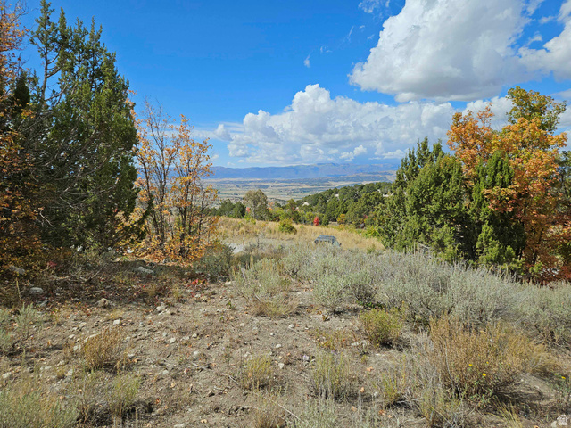 16 E LAKE FORK DR, Fairview UT 84629