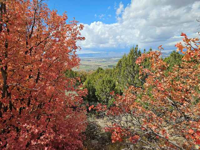 30 E ELK SPRINGS DR, Fairview UT 84629