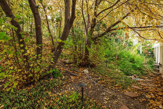 Photo 47 - 2979 Stauning Cv, Salt Lake City UT 84121