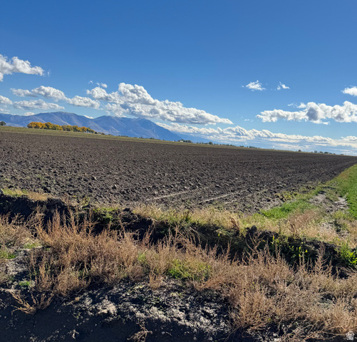 7200 W 8000 RD, Tremonton UT 84337