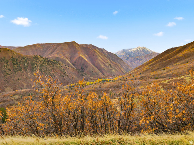 2000  OAK WOOD DR, Springville UT 84663