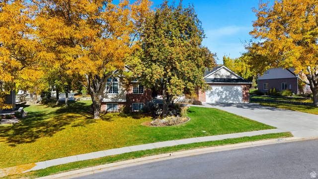 1383  Mt Logan Loop
                     MLS #2120336