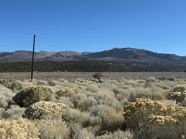 1  PINE CREEK RD, Mt Pleasant UT 84647