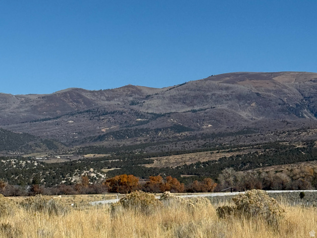 1  PINE CREEK RD, Mt Pleasant UT 84647