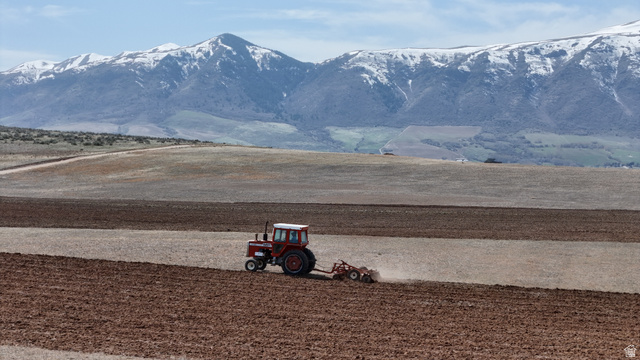 3700 W 6400 E, Preston ID 83263