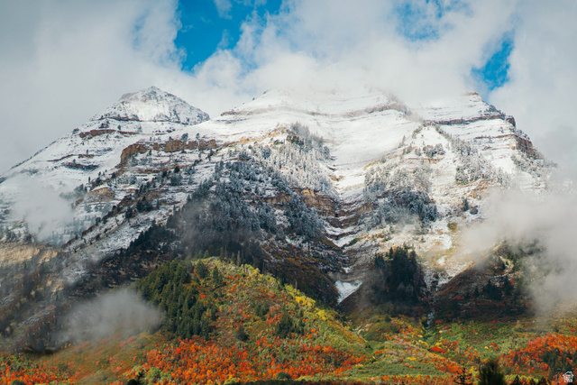 9128 N TIMPHAVEN RD, Sundance UT 84604