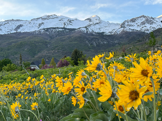 1653  ROSANNA CIR, Alpine UT 84004