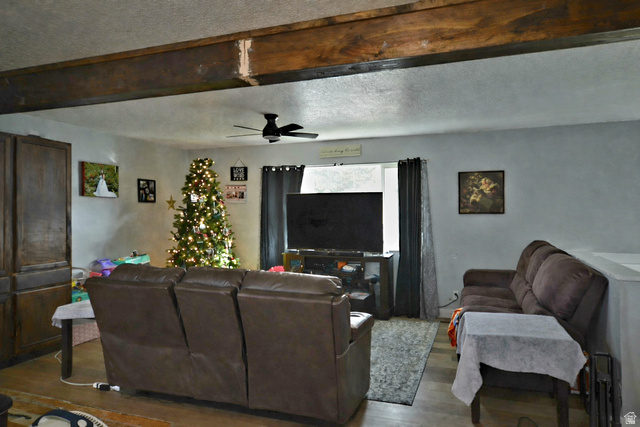 Listing Photo