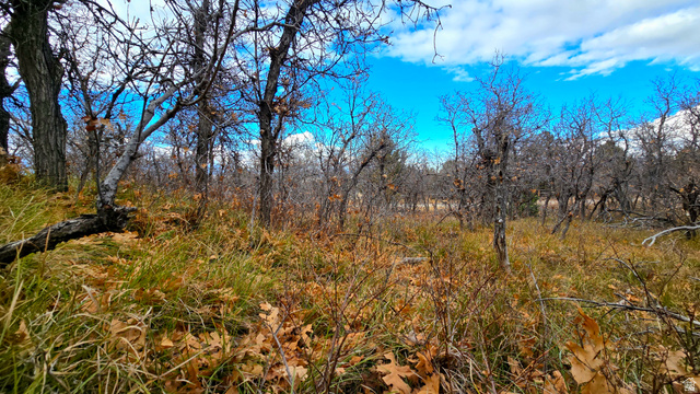 138  PHASE 3 SECTION A, Mt Pleasant UT 84647