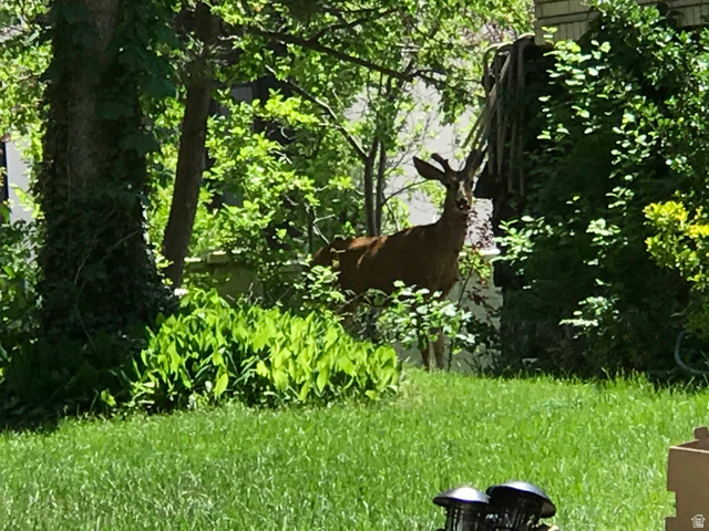 2113 E FARDOWN AVE, Holladay UT 84121