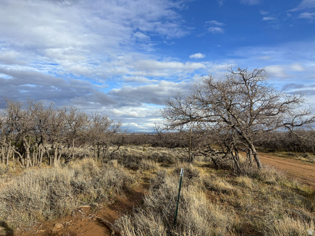 167 W GORDON RESERVOIR RD, Monticello UT 84535