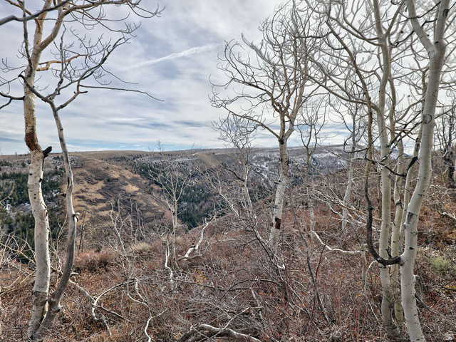 1  SEE DIRECTIONS, Scofield UT 84526