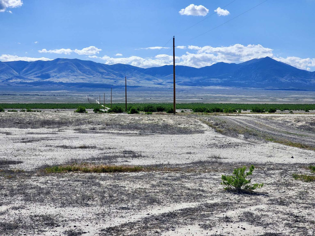 PILOT MOUNTAIN RD, Grouse Creek UT 84313