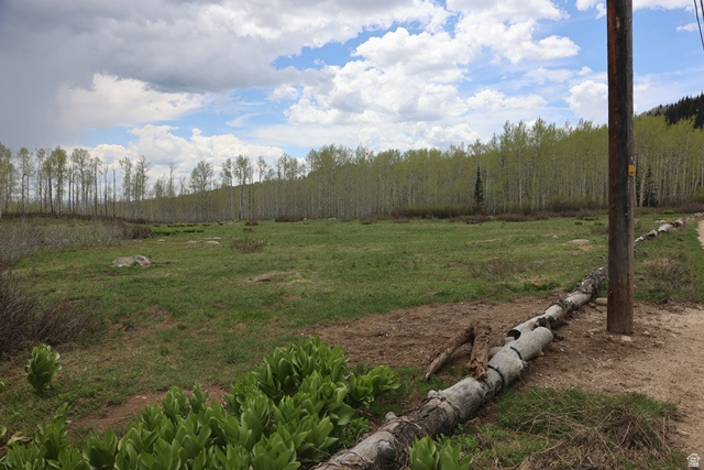 5292 N LARKSPUR RD, Midway UT 84049