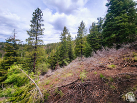 36  SKY HAVEN MOUNTAIN RETREAT, Duck Creek Village UT 84762