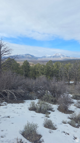 60 S WRAY MESA RD, La Sal UT 84530