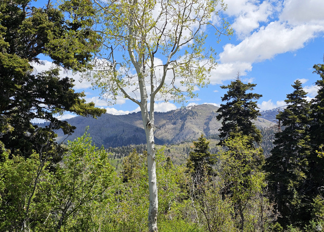 27  PINE RIDGE RD, Mt Pleasant UT 84647