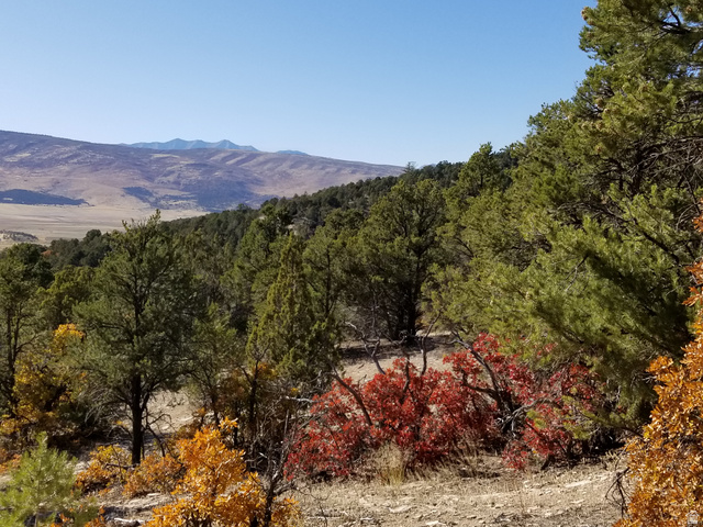 , Indianola UT 84629