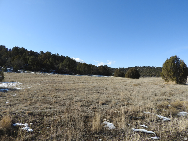 34465 N 9755 E, Fairview UT 84629