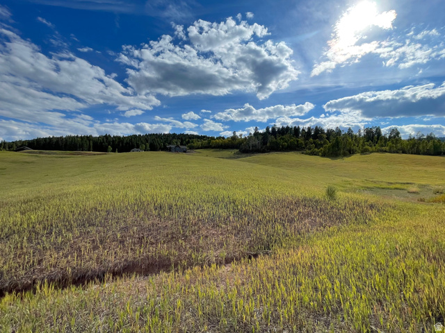 46  ELK WATCH LN, Freedom WY 83120