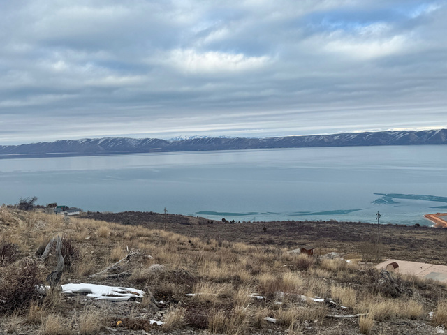 1253 S SCULPIN LOOP, Garden City UT 84028