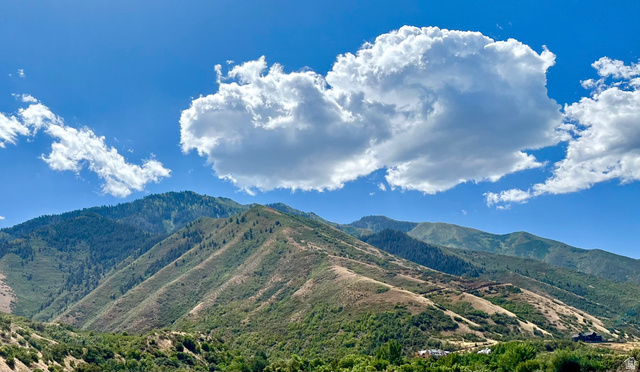 2056 E MAPLE HILLS LN, Mapleton UT 84664