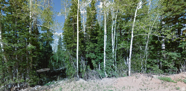 336 W FIR ST, Brian Head UT 84719