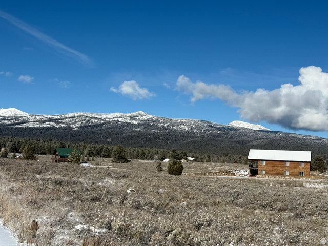 3990  DAVID DR, Island Park ID 83429