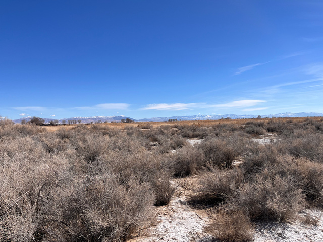 Abraham, UT 84635 — photo 5