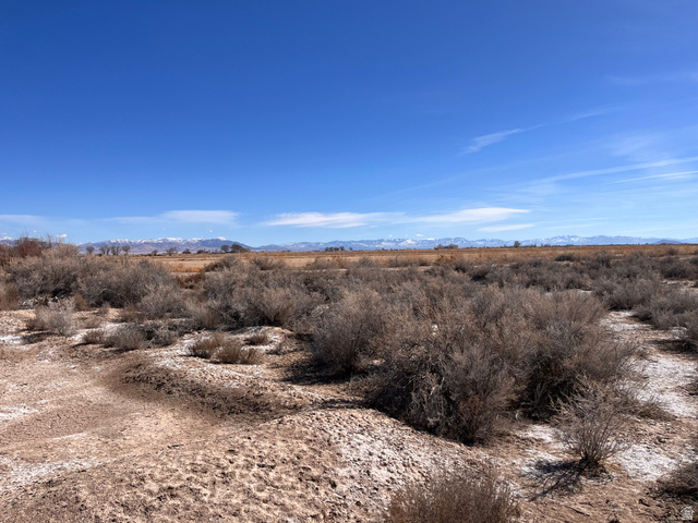 Abraham, UT 84635 — photo 3