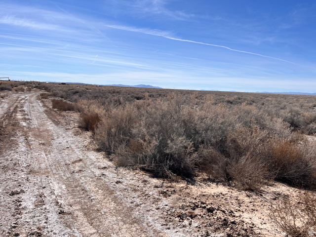 Abraham, UT 84635 — photo 4