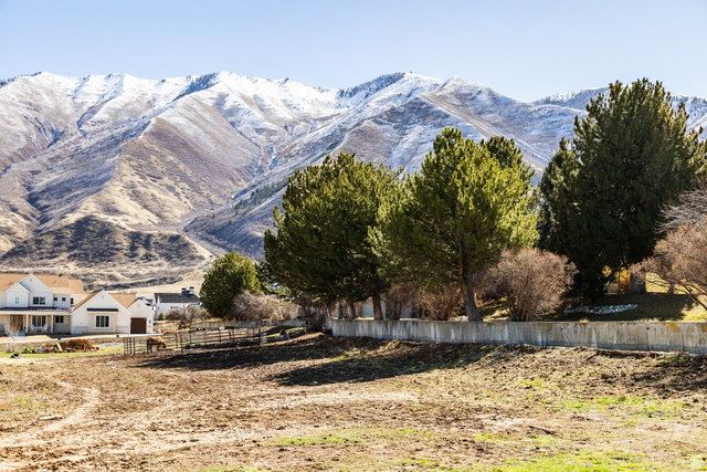 120 E MAGNOLIA LN, Mapleton UT 84664