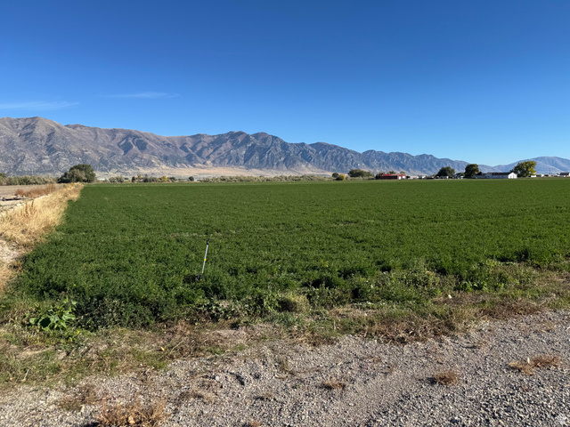 9230 N 6000 W #6, Tremonton, UT 84337 — photo 2