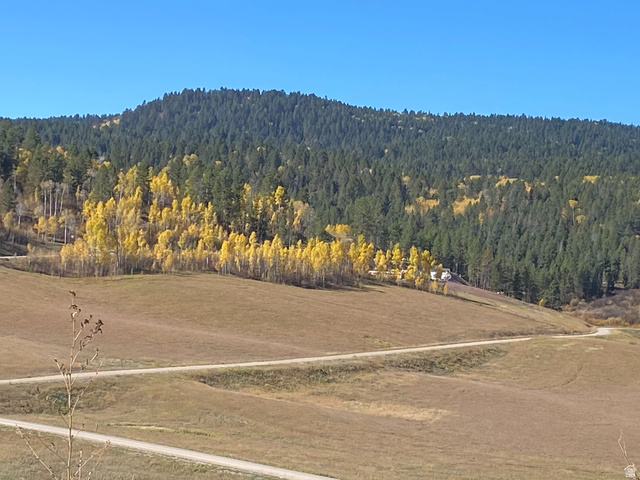 14  ELK WATCH LN, Wayan ID 83285
