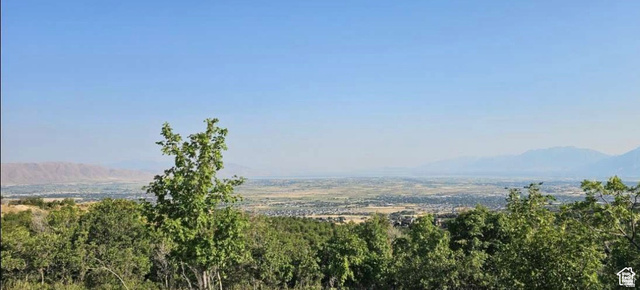 1007 S SUMMIT CREEK DR, Woodland Hills UT 84653