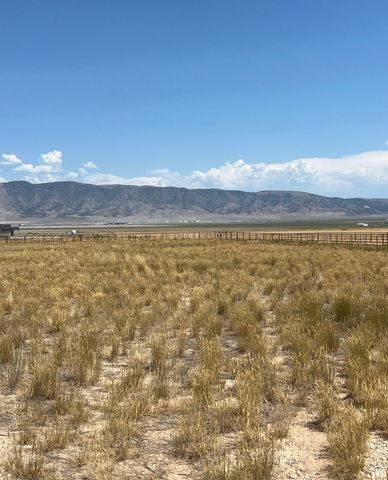 2609 N WEEKLY RD, Eagle Mountain UT 84005