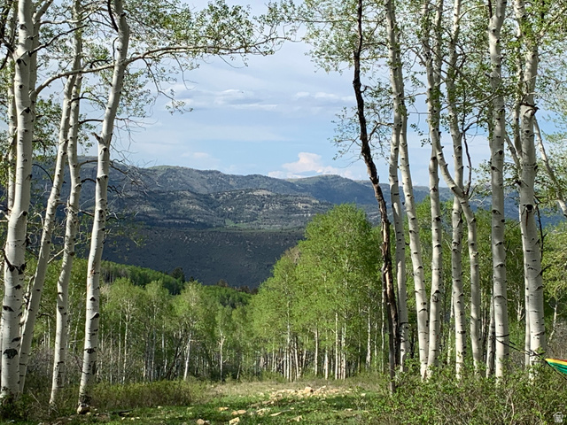 DR, Spanish Fork UT 84660