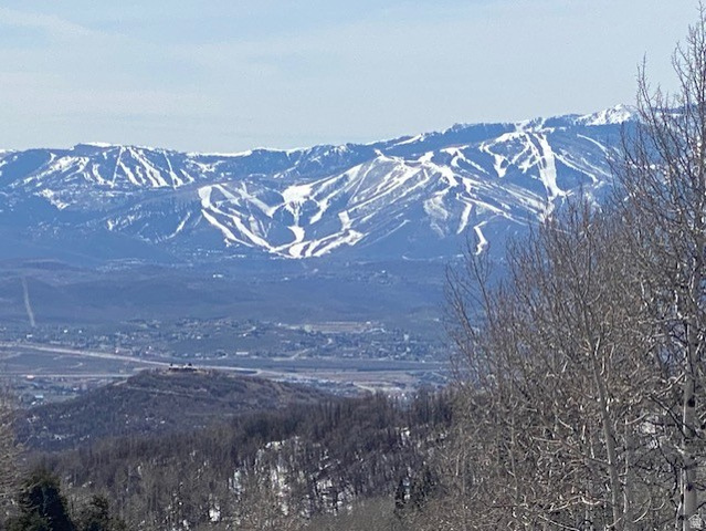 2604 S FOREST MEADOW RD, Coalville UT 84017