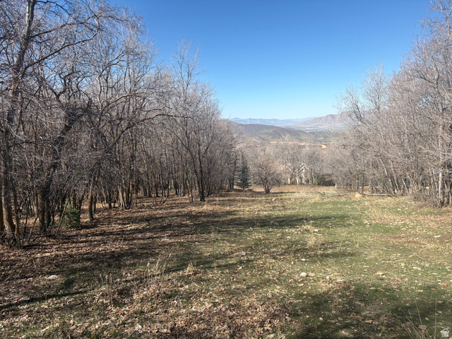 1040 S PINEVIEW DR, Mapleton UT 84664